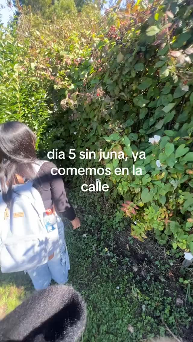 Cc en TikTok: gatogaturrano
