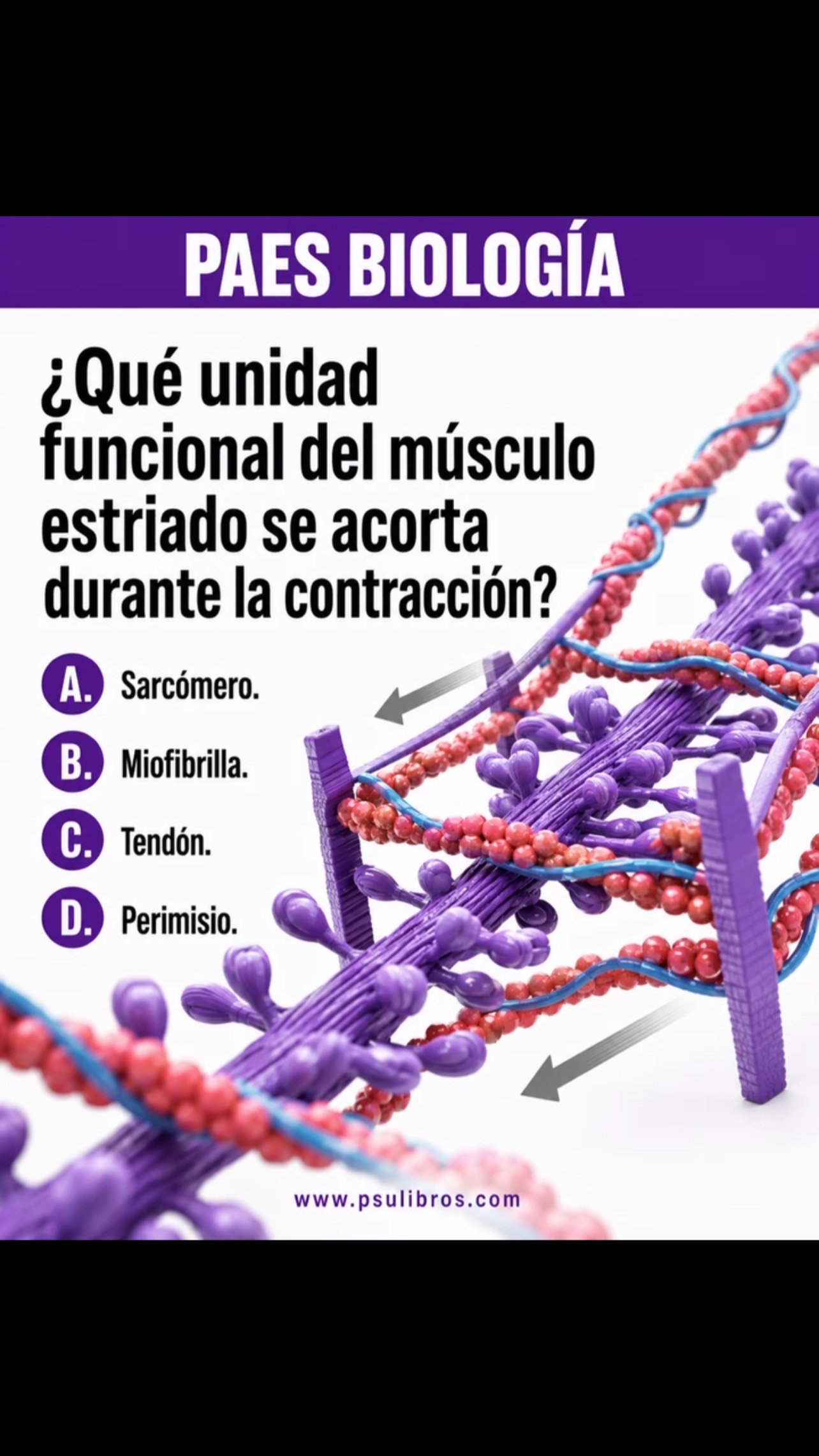Responde en los comentarios ⬇️