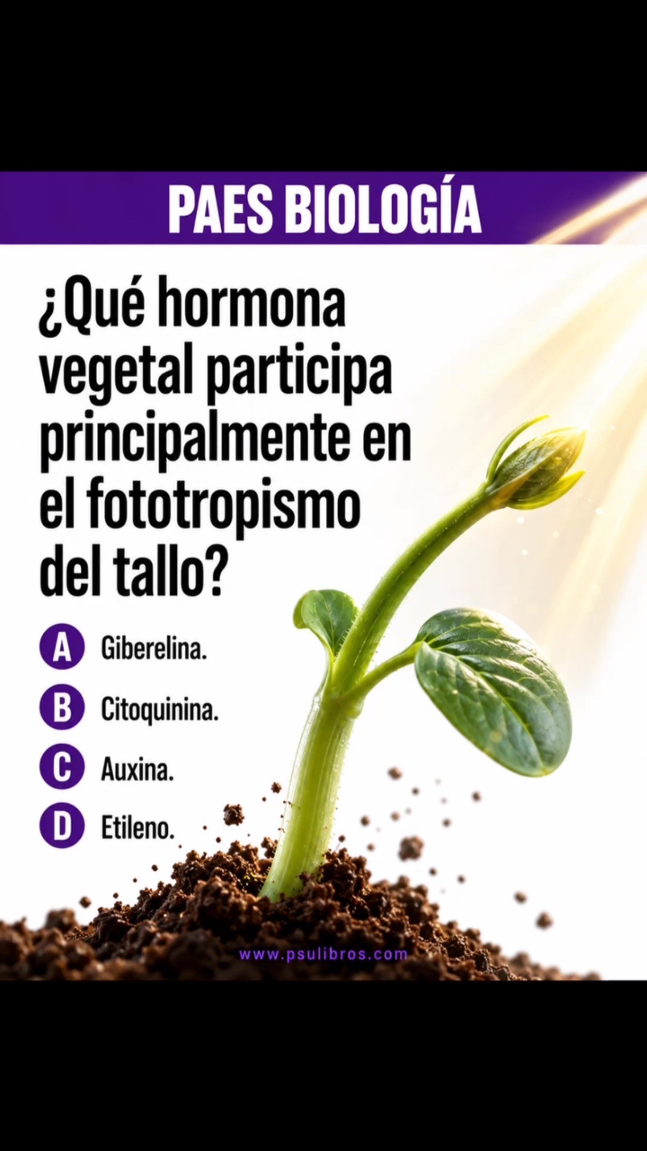 Responde en los comentarios ⬇️