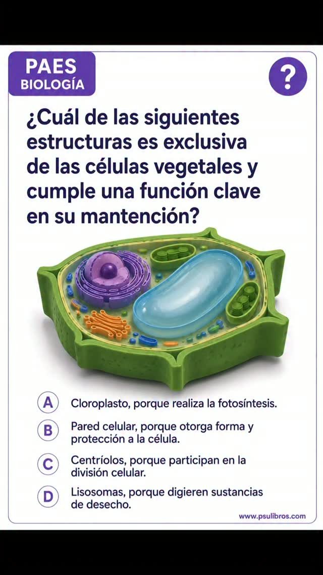 Responde la encuesta 🧾