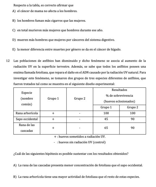 1ER ENSAYO NACIONAL PACK DIGITAL - Imagen 8
