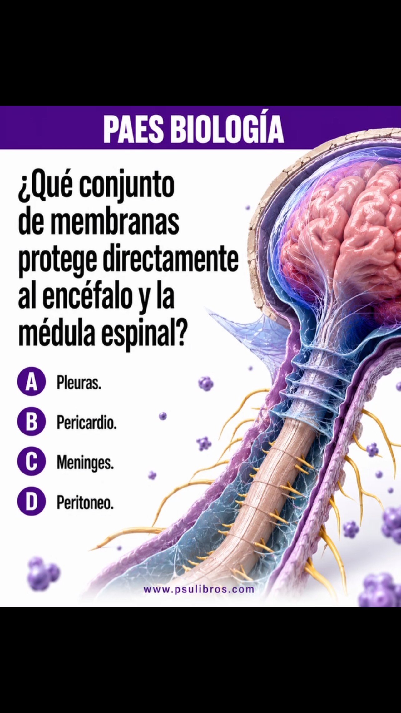 Responde en los comentarios ⬇️